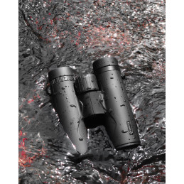 Eyeskey Dreamer-HD 10X42 Binocular