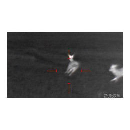 ATN MARS 4, 75mm, 7-28x, 384x288, Thermal Rifle Scope, Photo & Video,  Android & IOS App.