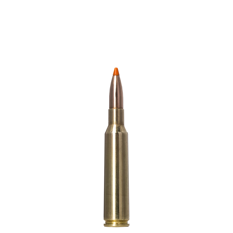 Norma 6,5 × 55 SE SP 140grs/9.1g