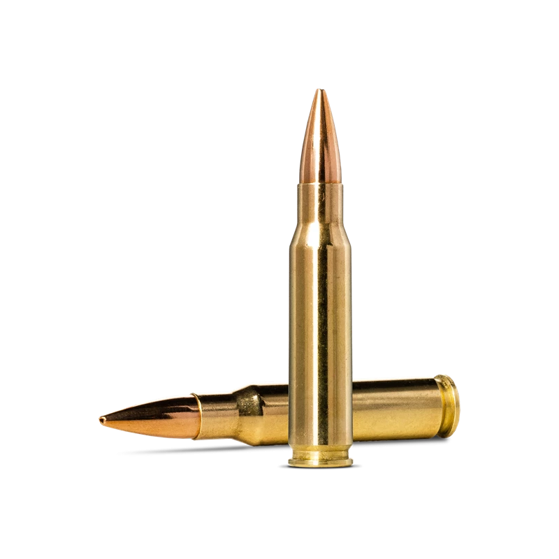 Norma Golden Target .308 Winchester 10g/155gr Ammunition