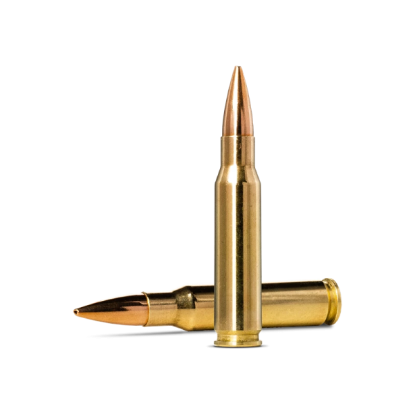 Norma Golden Target .308 Winchester 10g/155gr Ammunition