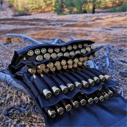 Cole-TAC Ammo Book 120 (.223 Remington)